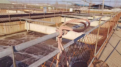 ?雷茨空氣懸浮風機，讓食品廠污水處理節能30%-50%